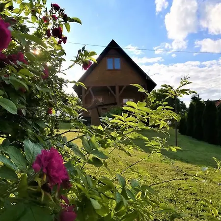 Pilgrim Goscinny W Gietrzwaldzie Na Warmii Gietrzwałd
